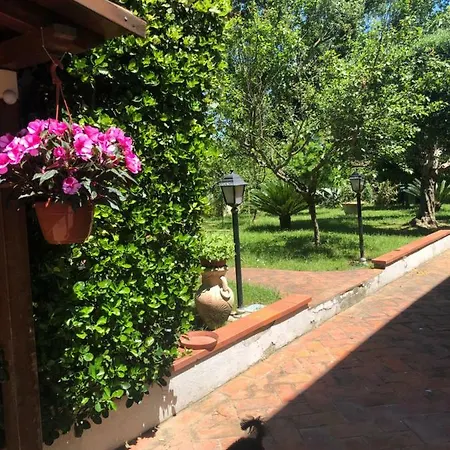 Affittacamere D'annunzio